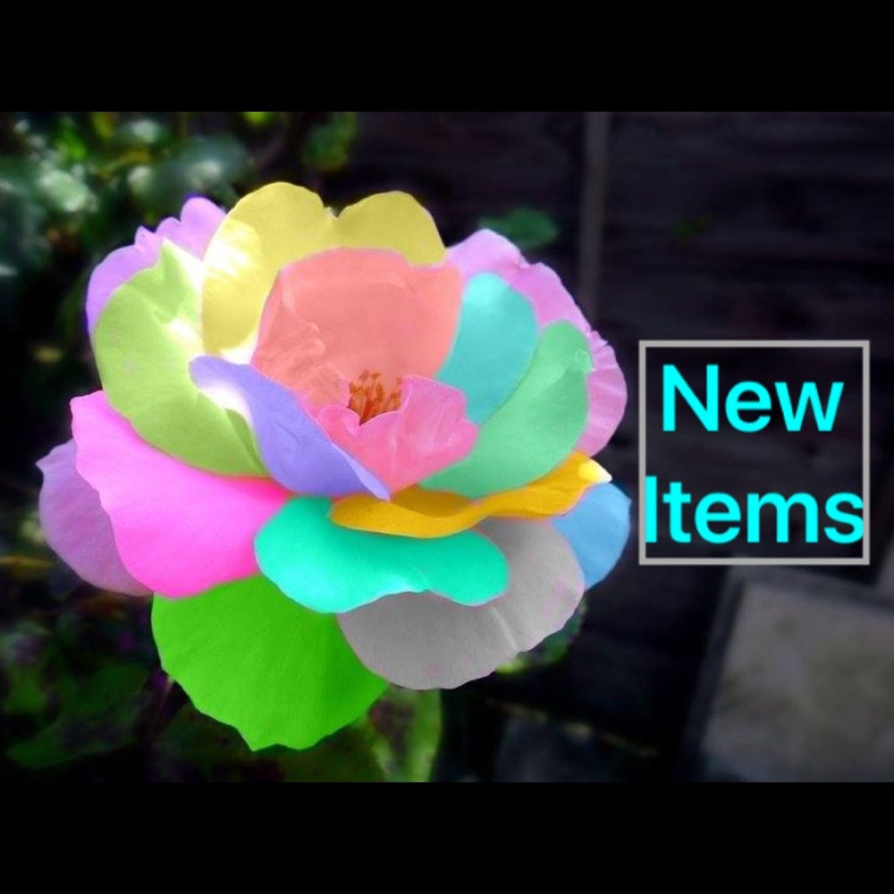 *******NEW*******